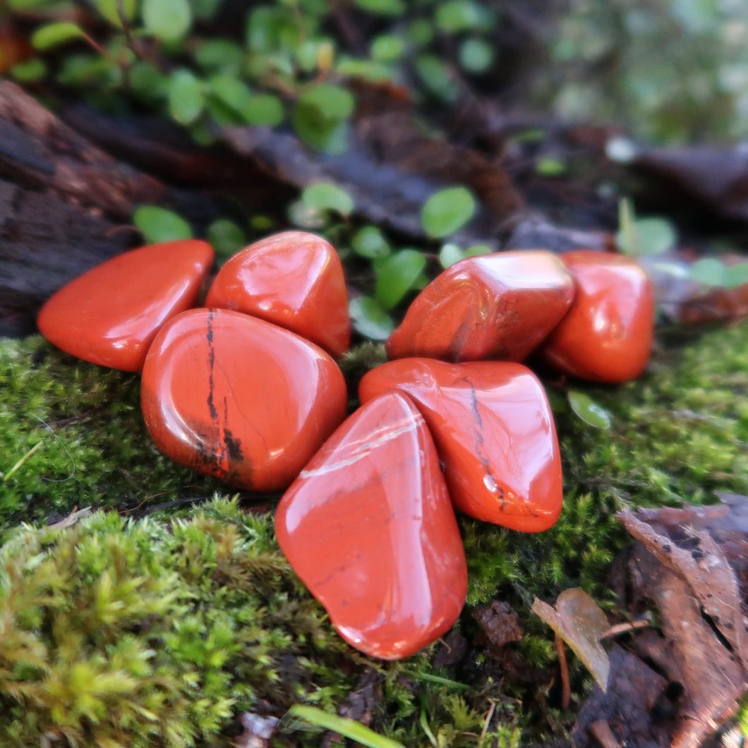 JASPE ROUGE
